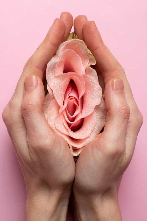 Ginecología Regenerativa - Dra. Marta Recio